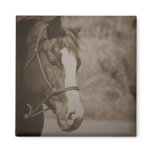 Vintage Horse Magnet