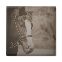 Vintage Horse Magnet