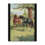 Vintage Horse Mare Stallion Equestrian Post Cards