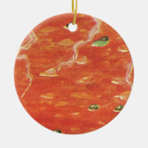 Vintage Hot Bowl of Tomato Soup with Peas Christmas Ornaments