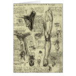 Vintage Human Anatomy Larynx Leg Leonardo da Vinci Greeting Cards