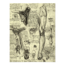 Vintage Human Anatomy Larynx Leg Leonardo da Vinci Custom Announcements