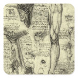Vintage Human Anatomy Larynx Leg Leonardo da Vinci Stickers