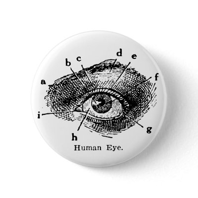 Vintage Human Eye Diagram Pins eye diagram. Vintage Human Eye Diagram Pins