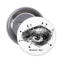 Vintage Human Eye Diagram Pins