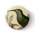 Vintage Hummingbird Button by GreatSkyPress Vintage Hummingbird Button