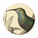 Vintage Hummingbird Magnet