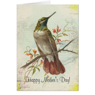 Vintage Hummingbird, Mother's Day Card