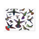 Vintage Hummingbirds Canvas Print