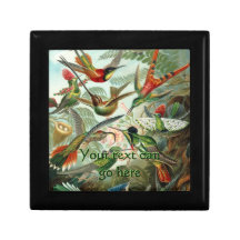 Vintage Hummingbirds Gift Box