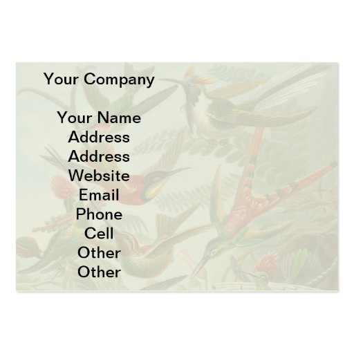 Vintage hummingbirds scientific illustration business card template (front side)