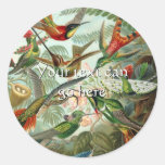 Vintage Hummingbirds Stickers