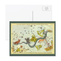 Vintage Hydra Constellation Post Cards