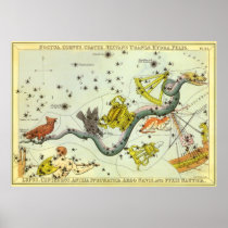Vintage Hydra Constellation Posters