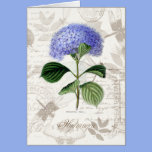 Vintage Hydrangea cards