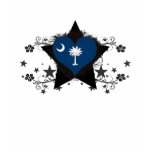 south carolina, south, carolinian, heart south