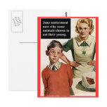 Vintage Image Angry m and Cake Post Cards