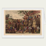 Vintage in California (0604A) cards