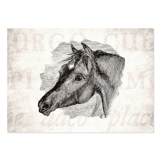 Vintage Intelligent Horse Template w Antique Text Business Card (front side)