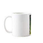 Vintage Irish Heart Symbols Clovers Harp Coffee Mugs
