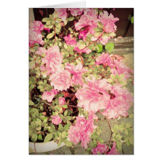 Vintage Japanese Azaleas card