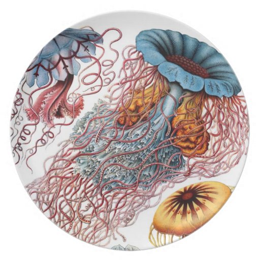 Vintage Jellyfish Marine Life Dinner Plate Zazzle