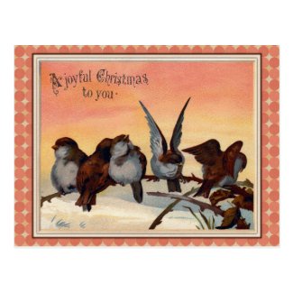Vintage Joyful Christmas Birds Post Card