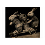 Vintage Kitten and Bunny Funny photo Postcard