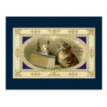 Vintage Kitten Christmas Postcard