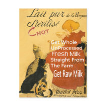 Vintage Kitten Milk Poster postcards by gotraw Vintage Kitten Milk Poster postcards