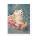 Vintage Kitty Postcard