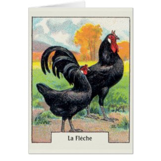 Vintage La Fleche Chicken Greeting Card