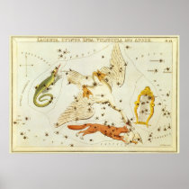 Vintage Lacerta, Cycnus, Lyra, Vulpecula and Anser Print