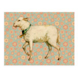 Vintage Lamb Art Post Card