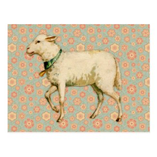 Vintage Lamb Art Post Card