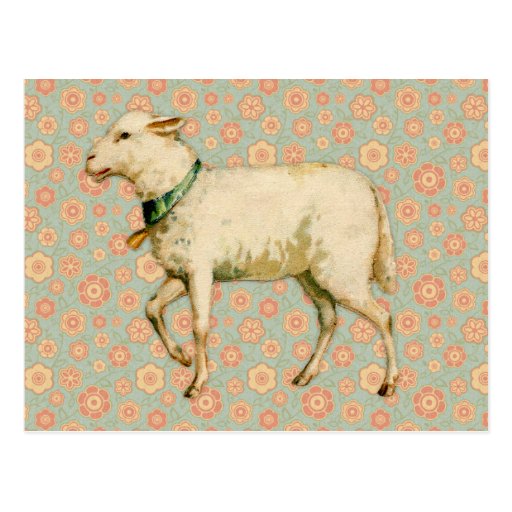 Vintage Lamb Art Postcard | Zazzle