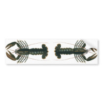 Vintage Lobster Bumper Stickers