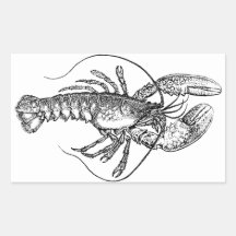 Vintage Lobster illustration Rectangle Stickers