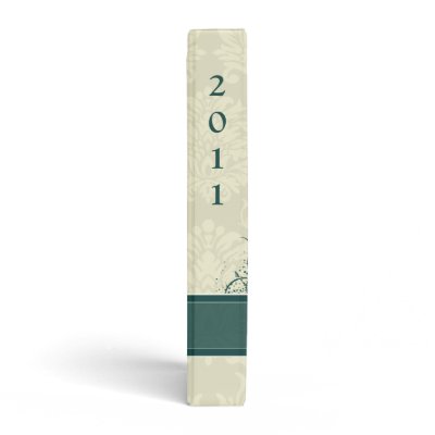 Vintage Love Birds Aqua Teal Pink Wedding Planner binder