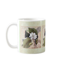 Vintage Magnolia Elegant Damask Collage mugs