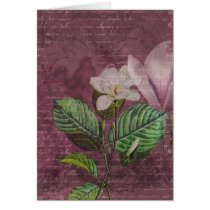 Vintage Magnolia Song Apparel and Gifts cards