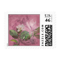 Vintage Magnolia Song Apparel and Gifts stamps