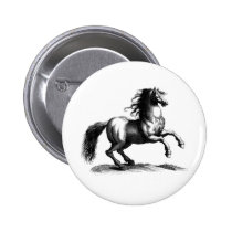 Vintage Majestic Horse Engraving buttons