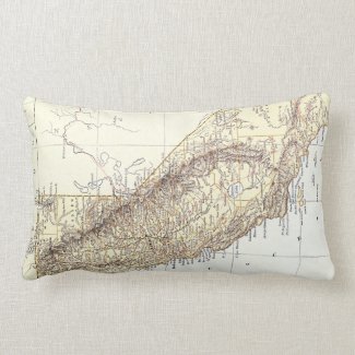 Vintage Map of California (1878) Throw Pillow