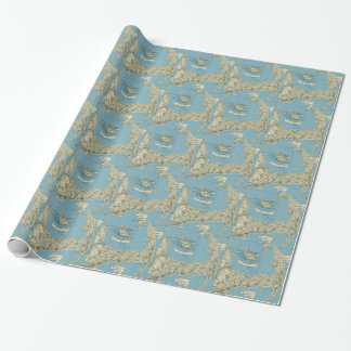 map wrapping paper map wrapping paper