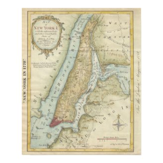 Vintage Map of New York City (1869) Poster