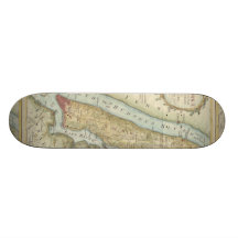 Vintage Map of New York City (1869) Custom Skateboard
