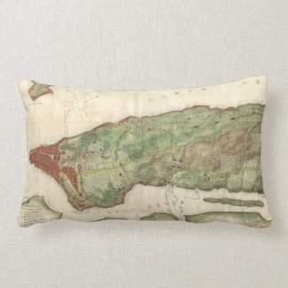 Vintage Map of New York City (1878) Throw Pillow