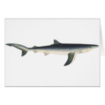 Vintage Marine Aquatic Ocean Life, Blue Shark Greeting Card