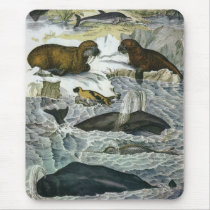 Vintage Marine Life mousepads